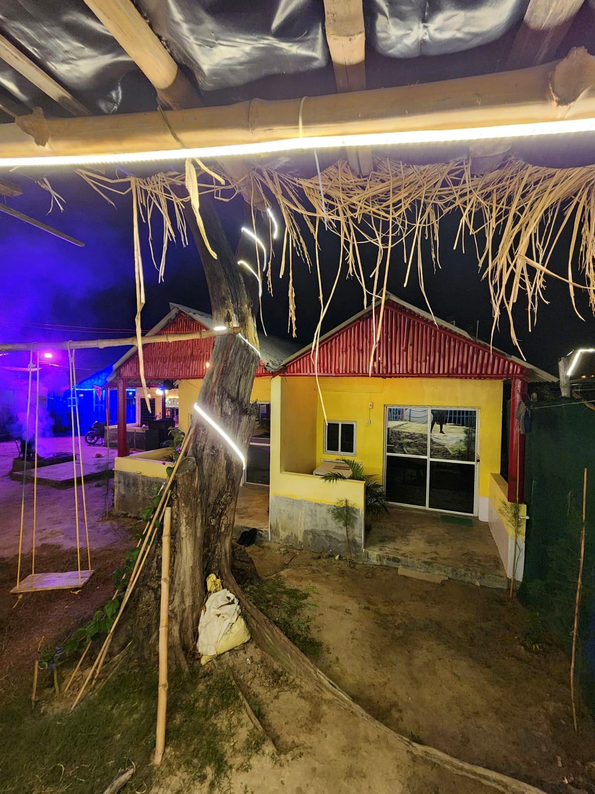 Night Lights & Tree Swing