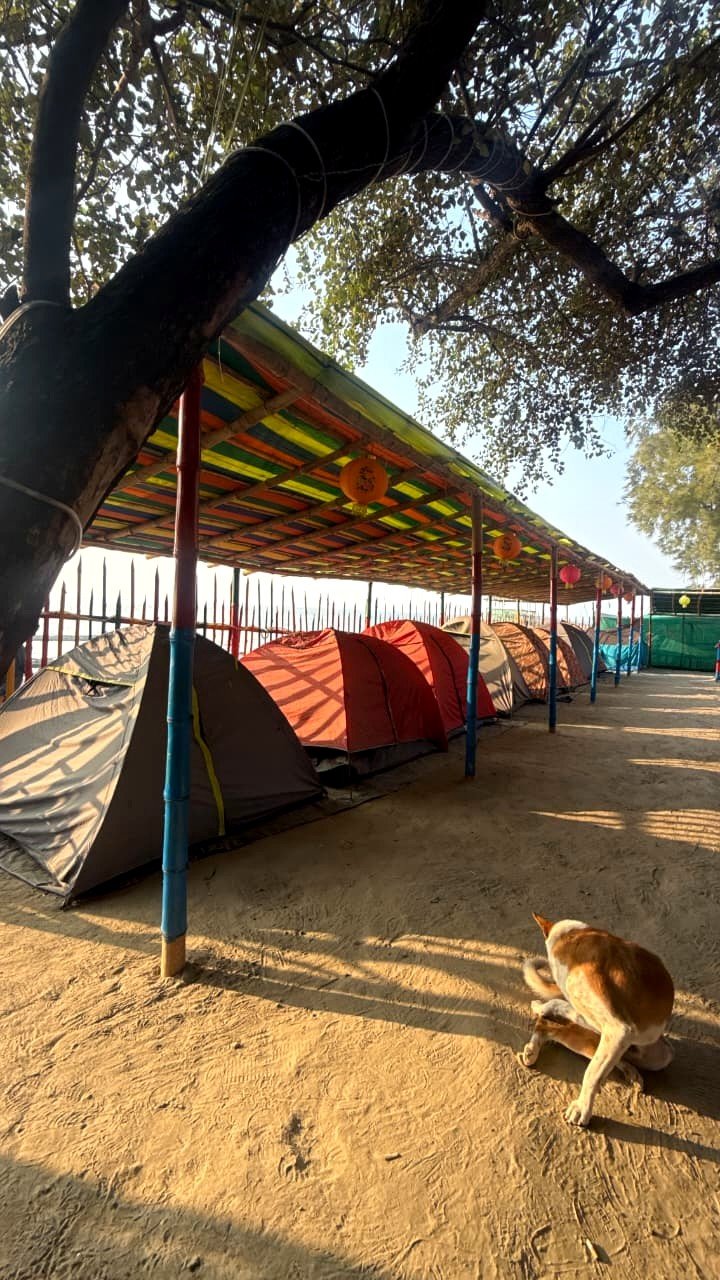 Row of camping tents under shelter with lanterns